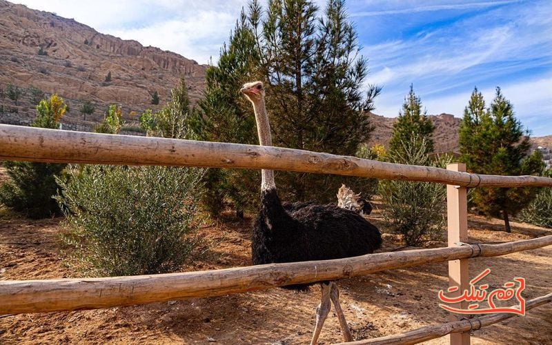 باغ پرندگان قم