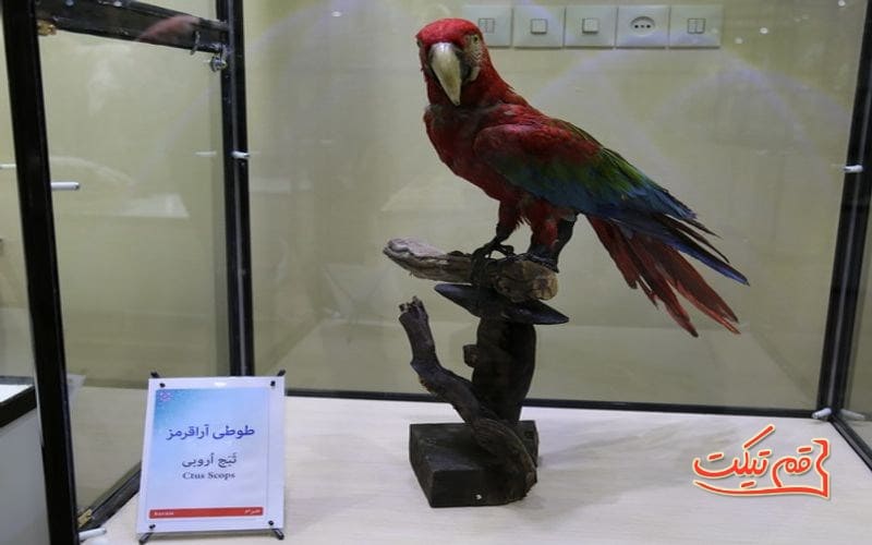 موزه دین و دنیا قم