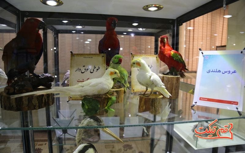 موزه دین و دنیا قم